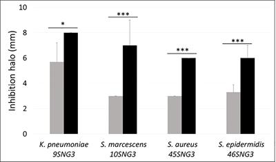 Interspecies relationships between nosocomial pathogens associated to preterm infants and lactic acid bacteria in dual-species biofilms